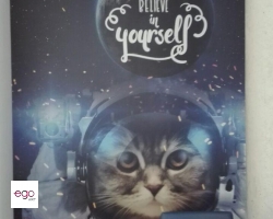 photo_2018-02-28_15-42-42