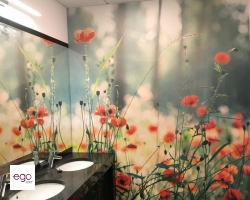 photo_2018-06-06_20-44-57