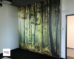 photo_2018-06-06_20-44-59