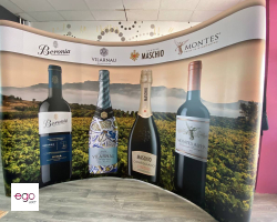 scinaka-popup-plus-magnetic-łukowa