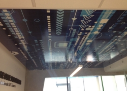 fototapety_lublin_na_suficie