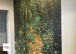 tapeta-w-biurze-dts-system-3