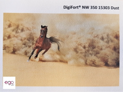 fototapeta-strukturalna-digifort-NW350-15303-Dust