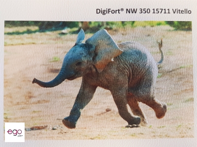 fototapeta-strukturalna-digifort-NW350-15711-Vitello